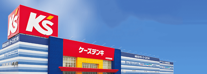 大手家電量販店
